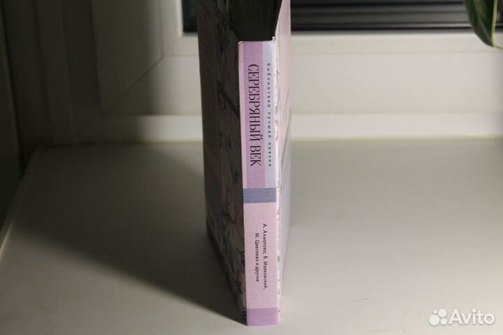 Поэзия Серебряного века (сборник стихов)