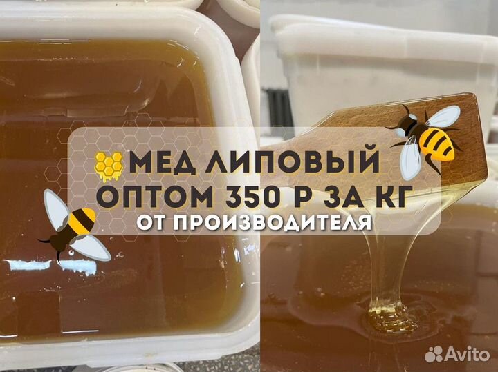 Липовый свежий мёд оптоМ