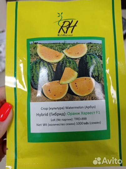 Продам семена арбуза оранж харвест