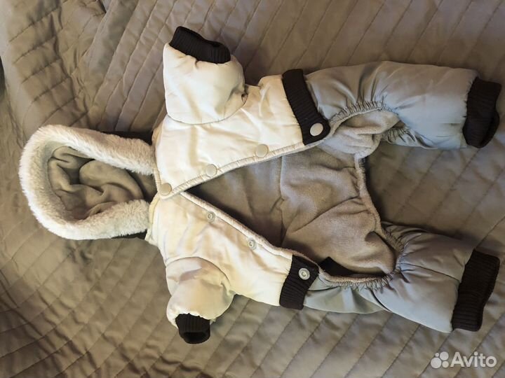 Зимний комбинезон, для маленькой собаки