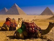 Турпутевка в Египет 11 ночей all inc