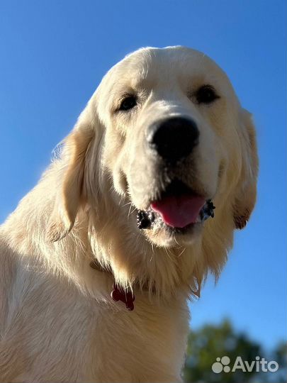 Пеший курьер доставка по Москве