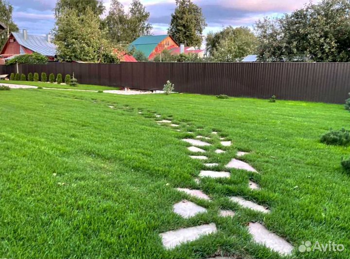 Газон. Рулонный газон