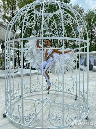 Девушка в клетке