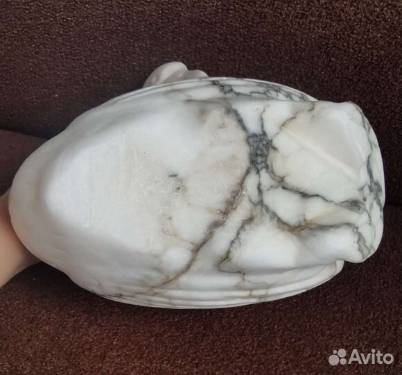 Лебединая пара