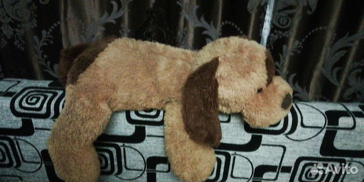 Собака - коричневый Бим, шоколадное ухо