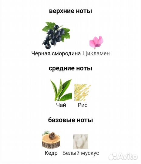 Туалетная вода