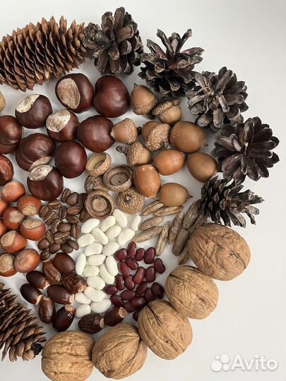 Набор монтессори