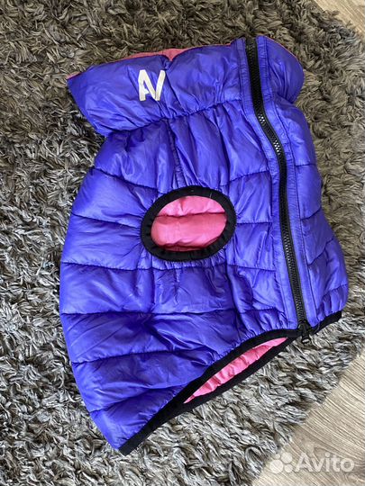 Амуниция поводок обувь одежда миска для собак