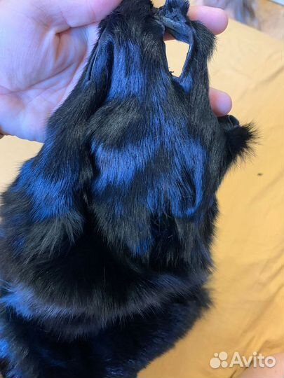 Шкура песца