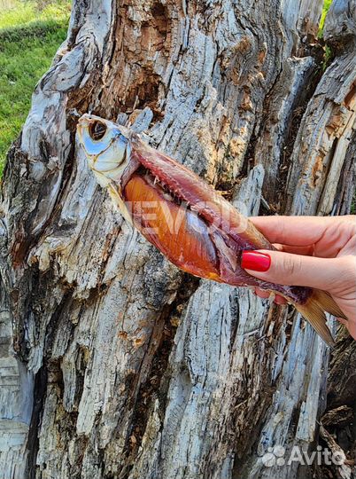 Астраханская вяленая вобла