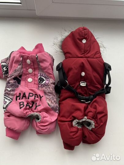 Одежду для маленькой собачки