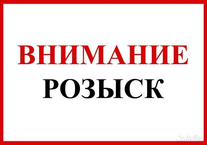 Поиск человека / поиск информации / розыск