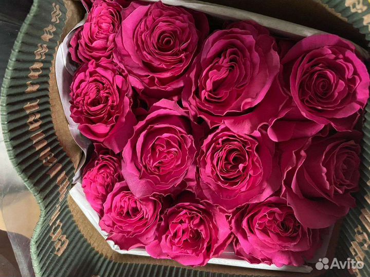 Премиальная роза Голландия и Эквадор от склада