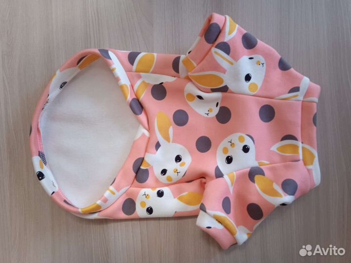 Одежда для собаки