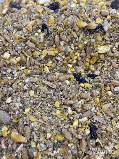 Зерносмесь