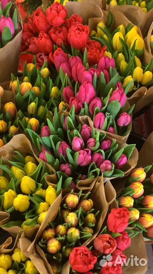Тюльпаны с доставкой на 8 Марта