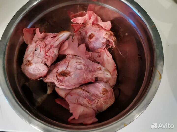 Куринные головы