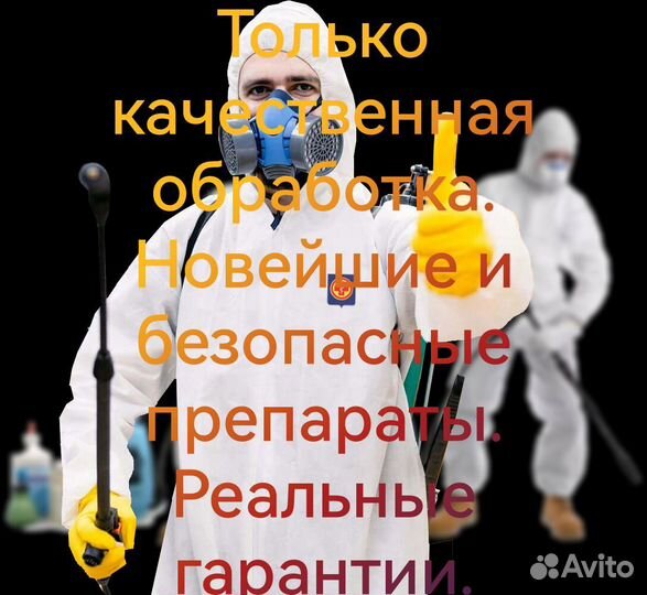 Дезинфекция. Уничтожение блох, клопов, тараканов