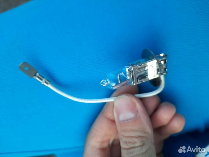 Лампочка в противотуманку H3