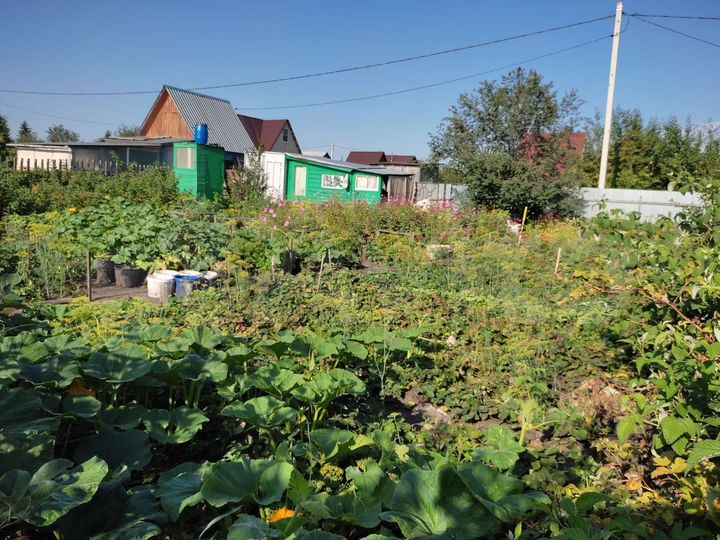 Участок 5 сот. (СНТ, ДНП)