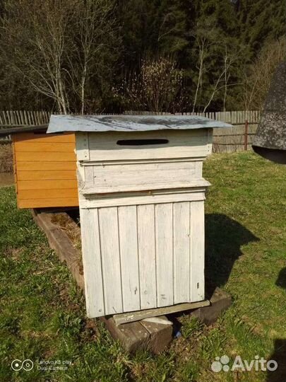 Ульи для пчел