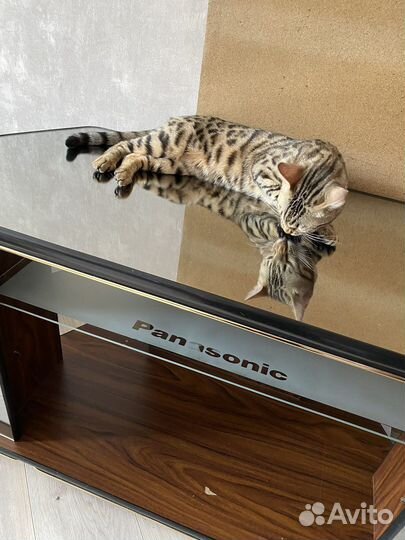 Подставка для телевизора