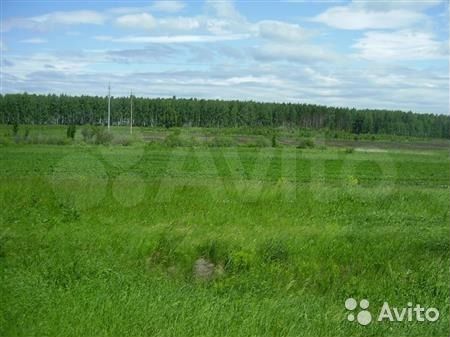 Участок 5 га (СНТ, ДНП)