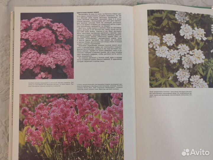 Энциклопедия садовода