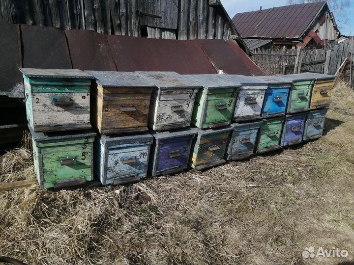 Улей для пчел бу