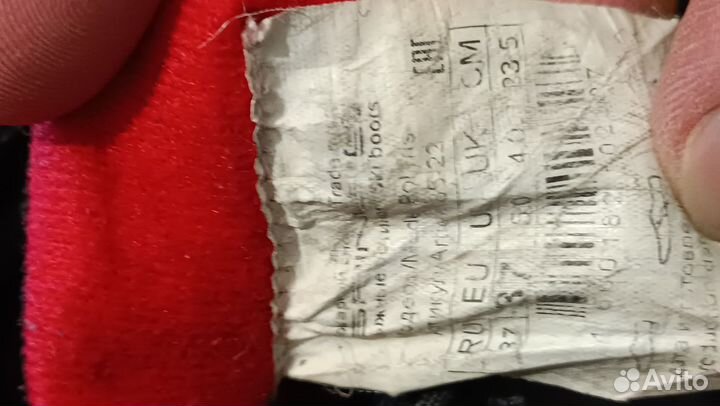 Лыжные ботинки spine