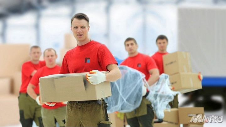 Работа комплектовщиком (Сынково)