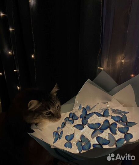 Букет из бабочек светящийся на 8 марта