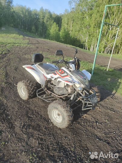 Квадроцикл patron scaner 150