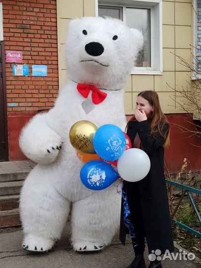 Бомбические поздравления от больших мишек