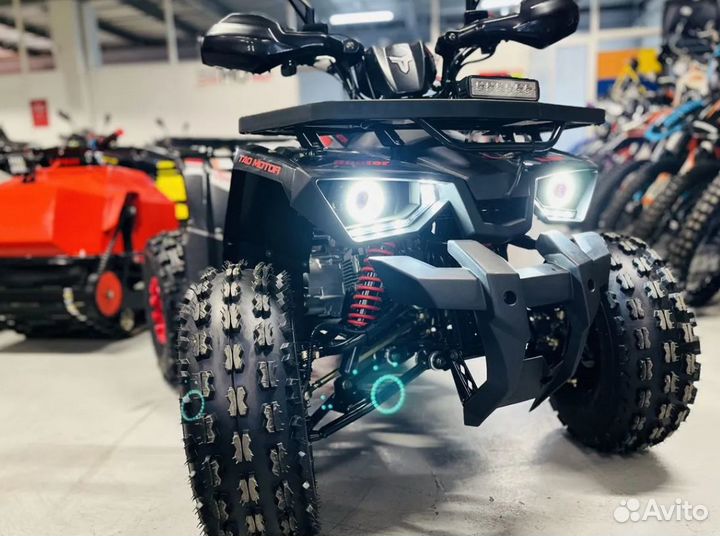 Avantis Hunter New Lux