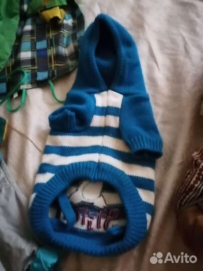 Одежда для маленьких собак xs