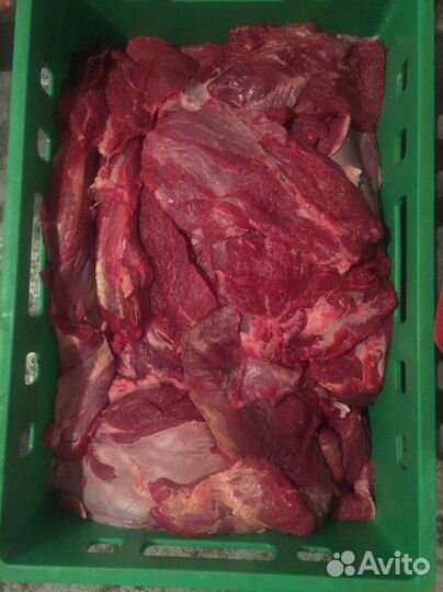 Мясо свинина говядина