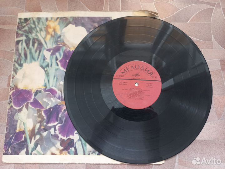 Виниловые пластинки