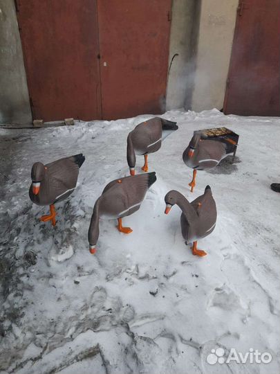 Чучела гусей 10 шт