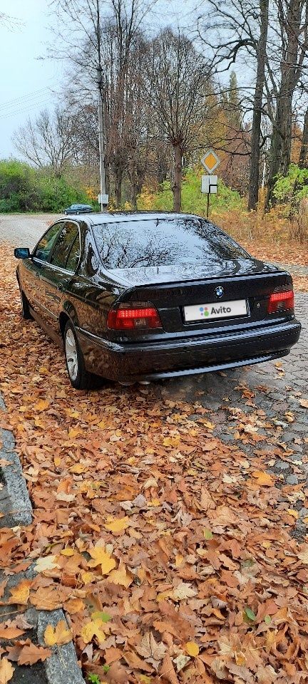 BMW 5 серия: фото владельца