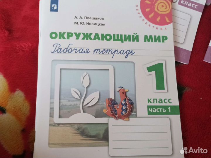 Тетради 1 класс, Перспектива