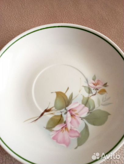 Блюдце - гигант , Вербилки , СССР