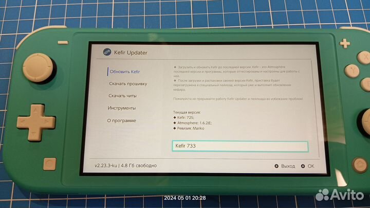Nintendo switch lite 128 прошитая