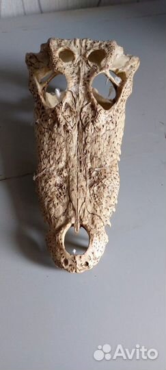 Декорации для аквариума, террариума