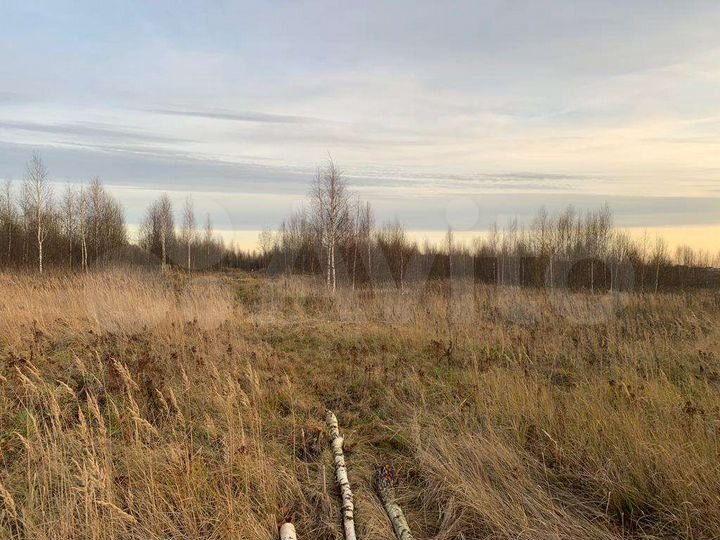 Участок 2 га (СНТ, ДНП)