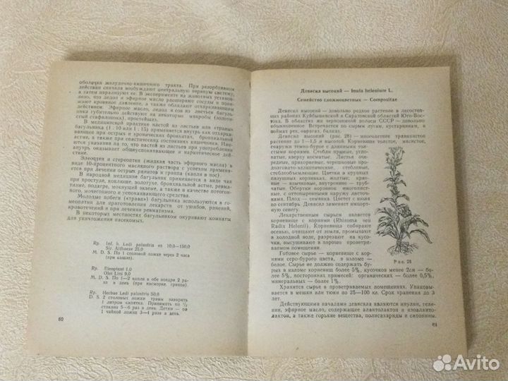 Лекарственные растения в медицине