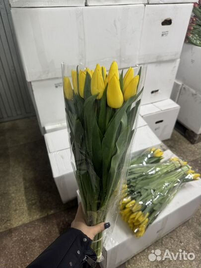 Тюльпаны Новокузнецк