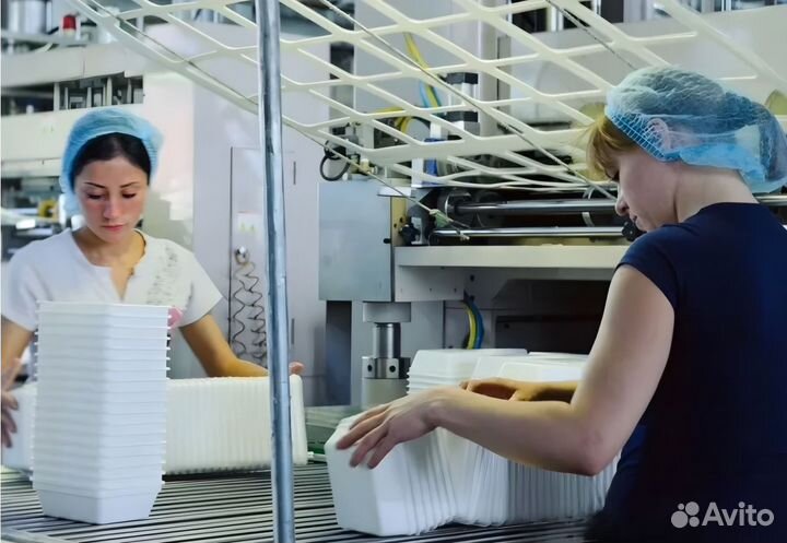 Укладчик-упаковщик пластиковой посуды. Самара работа упаковщика. Упаковщик упаковщица. Упаковка шоколада на фабрике. Упаковщик кондитерских изделий.