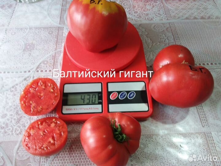 Семена томатов